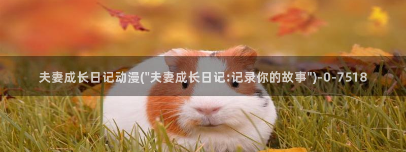 快乐方程式动漫：夫妻成长日记动漫(\