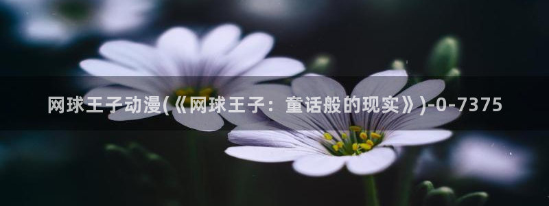 动漫a片：网球王子动漫(《网球王子：童话般的现实》)